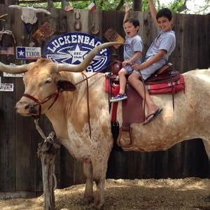 Meet your Posher, Sandy